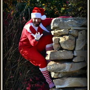 Jolly Elf